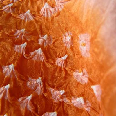 Orange bandhani tie-dye fabric